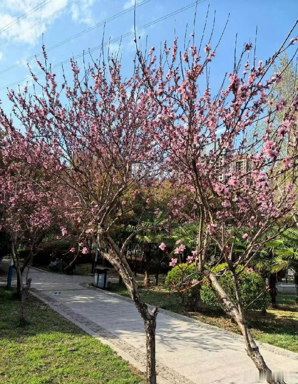 冷香与热肠·默斋主人原创散文“世事洞明皆学问，人情练达即文章。”宁国府上房的这副