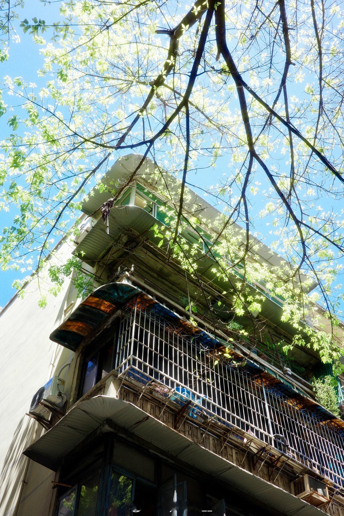 早安  ⛅️·𝙈𝙤𝙧𝙣𝙞𝙣𝙜·日子缓缓，生活散散，心有暖意，万事可