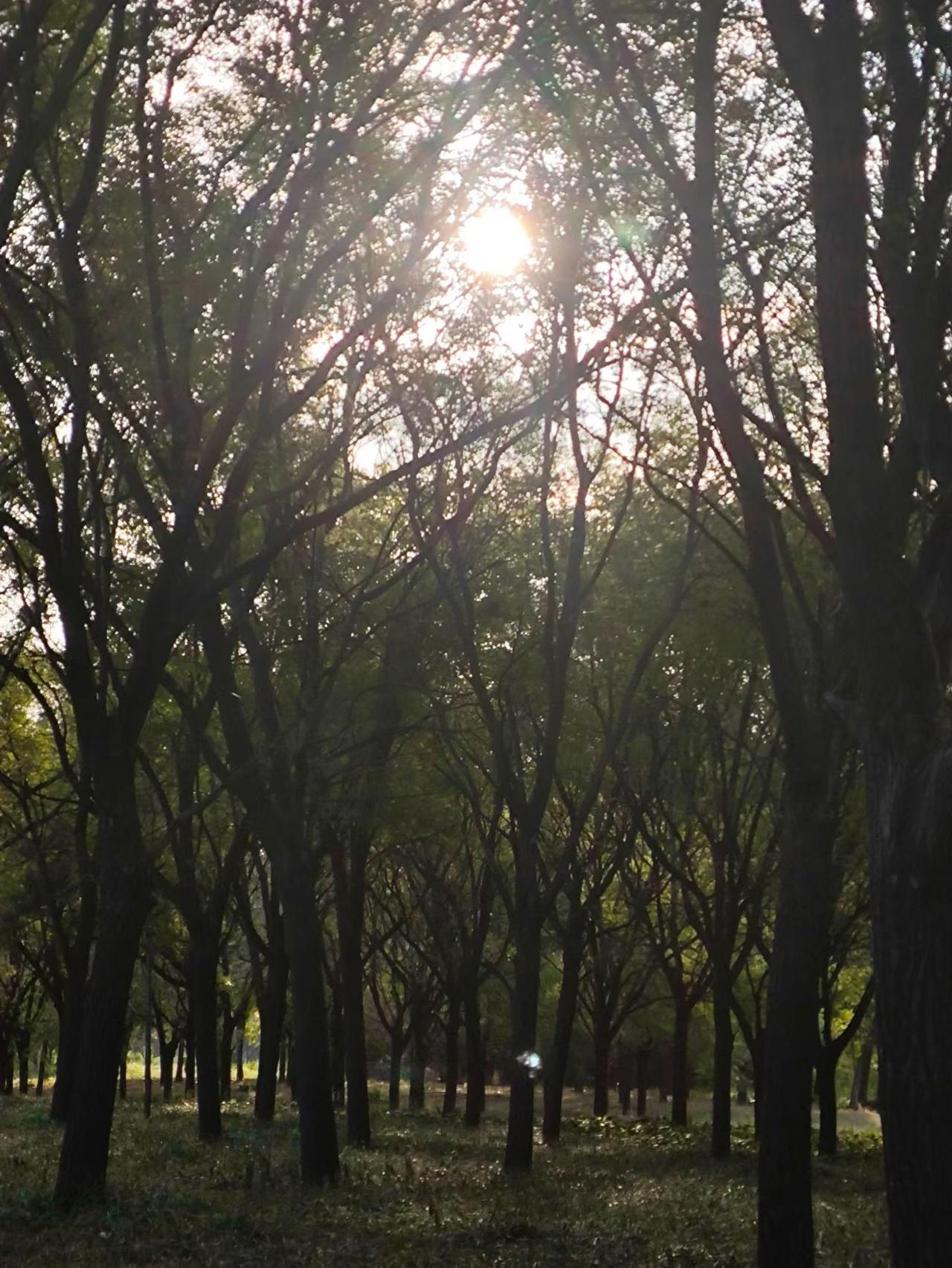 恋爱5年女友竟是俩娃妈？男子人财两空崩溃：她假装怀孕14个月，骗我30万！

近