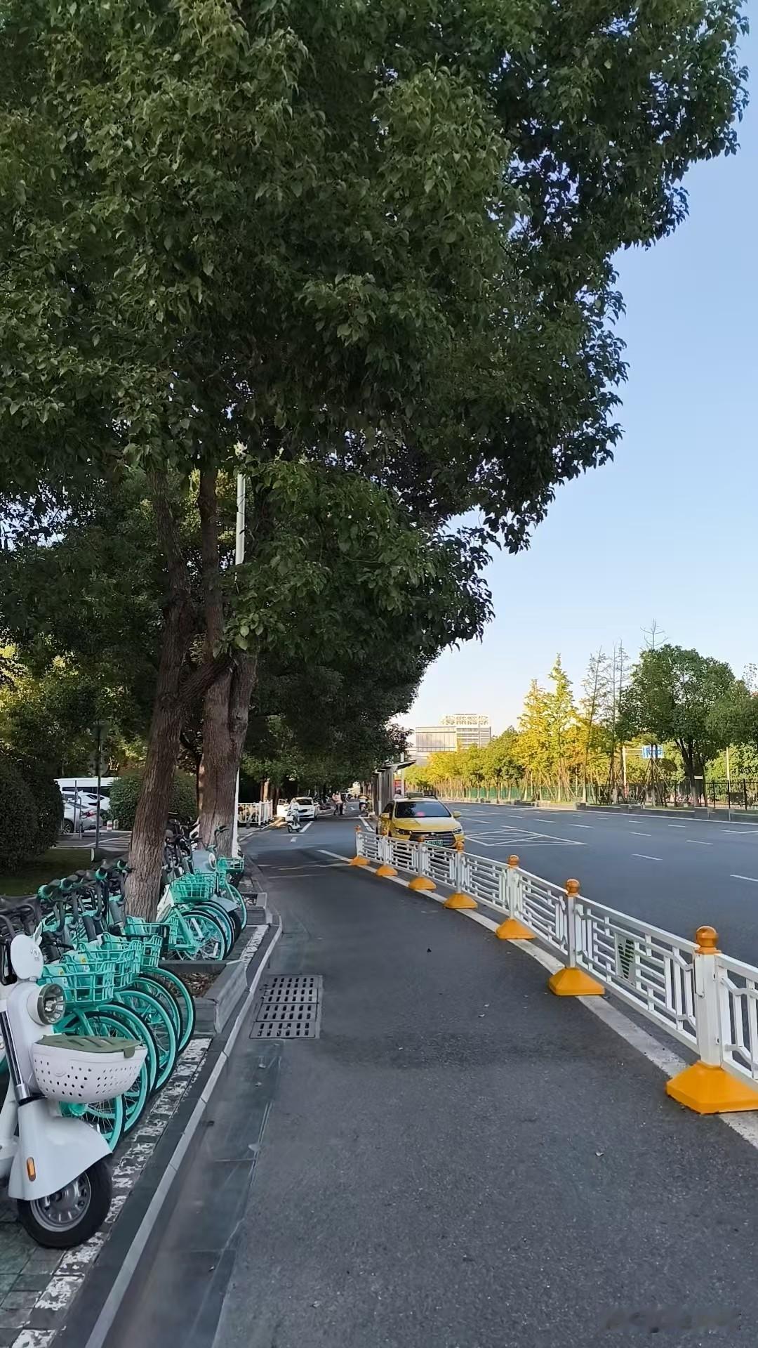 刚刷到南京本地的大雾黄色预警，今早出门的朋友真的别嫌麻烦多套件外套。
凌晨到上午