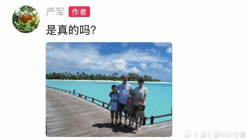 严军发了一家四口照昔日马尔代夫海边的全家福，如今成了最讽刺的注脚。旧照里岁月静好
