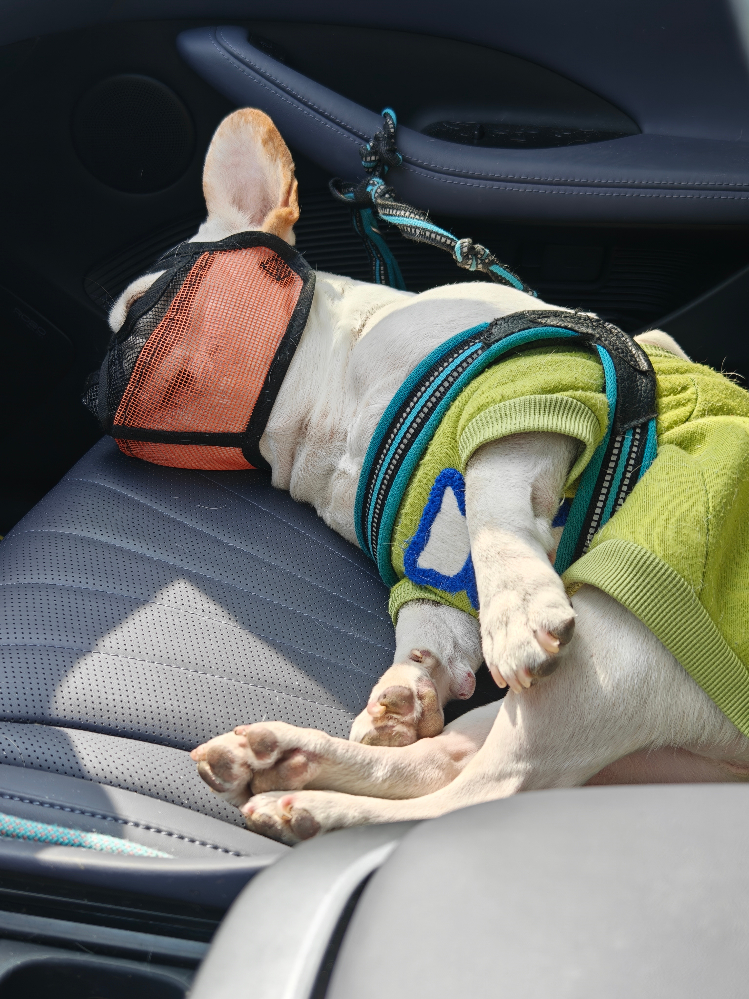 在路上 资阳·安岳服务区停车场