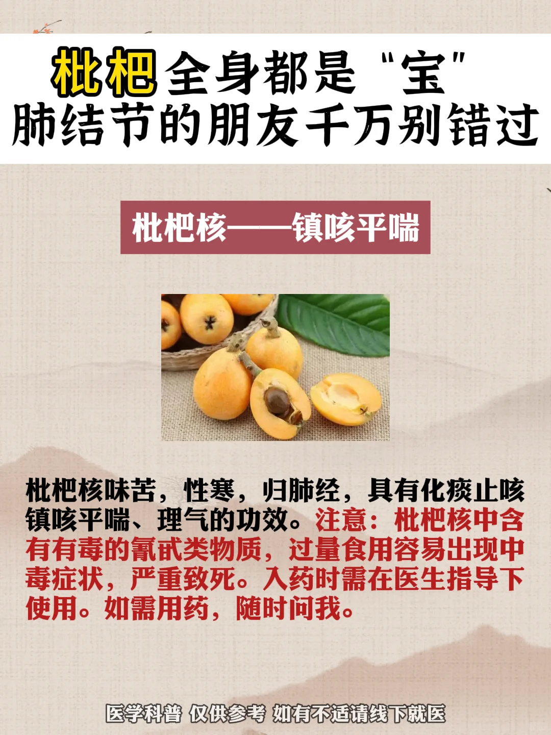 枇杷不止肉营养价值高，其他地方也都是宝