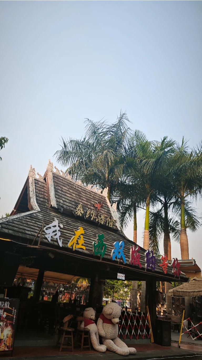 椰风拂过傣式屋檐，两只小熊守着酒馆的温柔，把“我在西双版纳等你”，写成了最治愈的