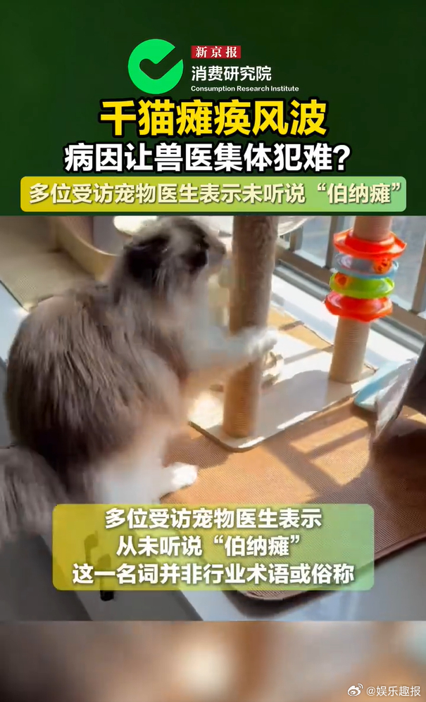 彻底分清猫狗瘫痪的区别！瘫痪猫咪饮食五花八门，国产进口猫粮全覆盖，无任何致病规律