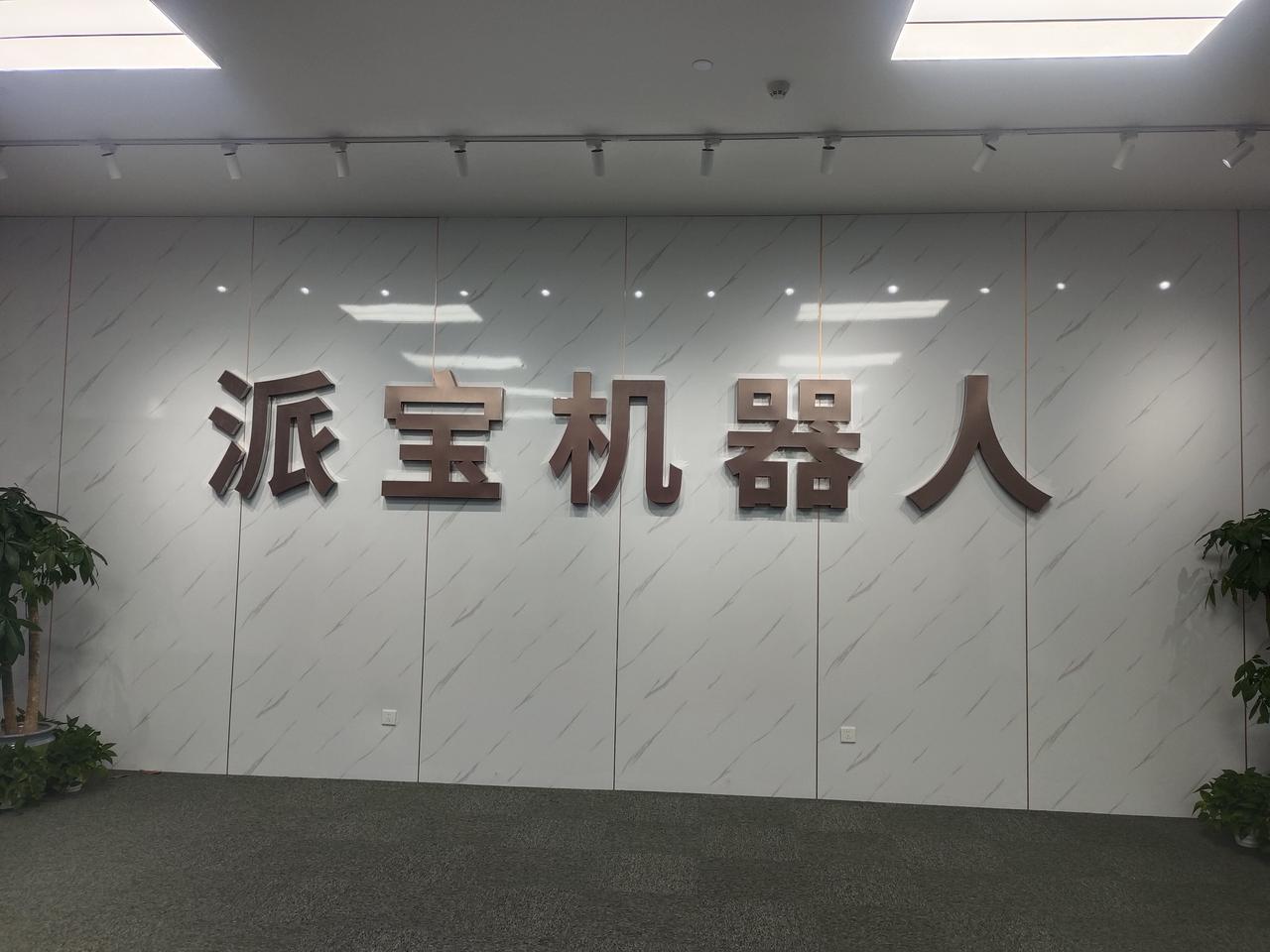 雷州经开区、奋勇高新区智造矩阵：新材料+锂电+柔性屏+服务机器人，瞄准东盟市场