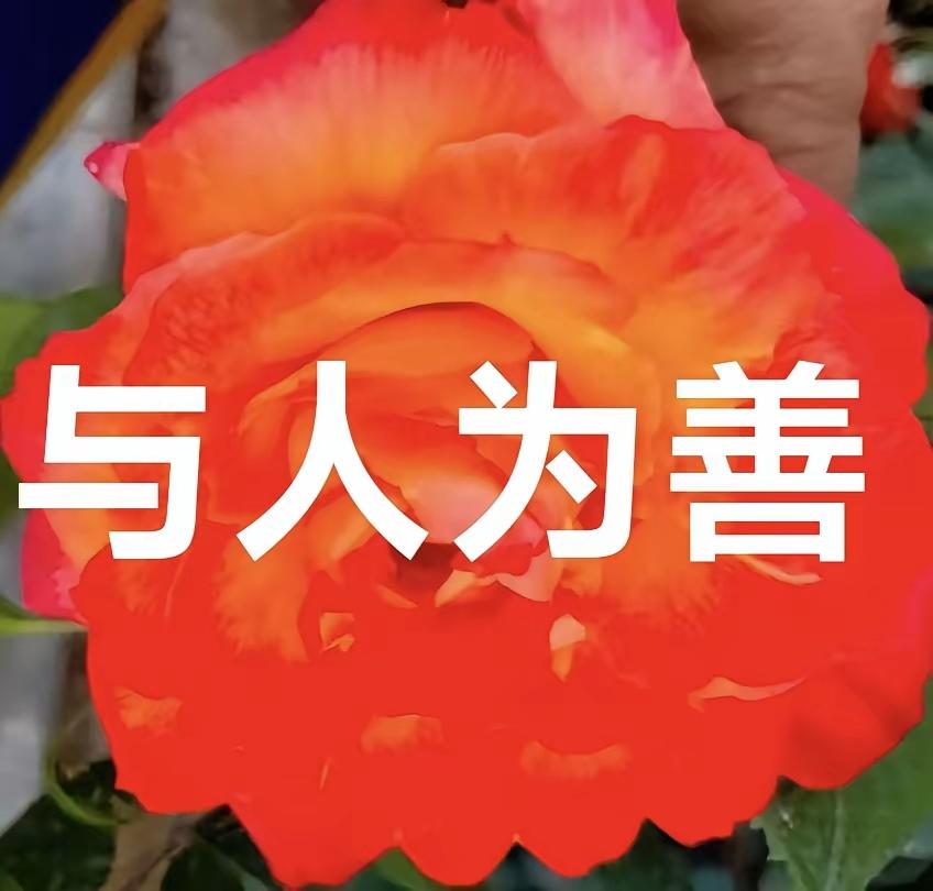 菩萨神通廣大，
善心广布天下！
对妖魔鬼怪，
更有惩治方法！
征恶扬善，
独尊菩