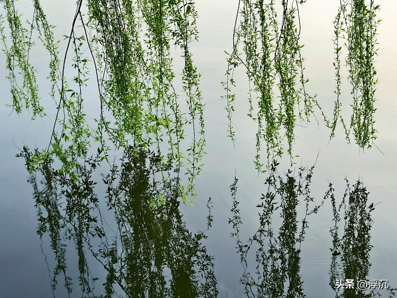 上联：浅浅深深河中水，有请下联高高低低岸畔柳