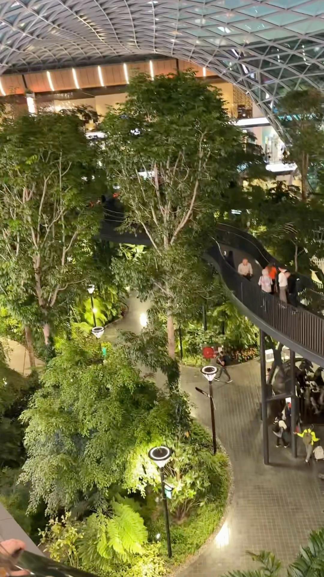 2026第一场旅行多哈转机这机场好漂亮😍 