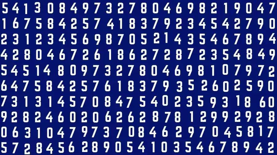 敏捷思考者的挑战 在短短 40 秒内找到隐藏的数字 506