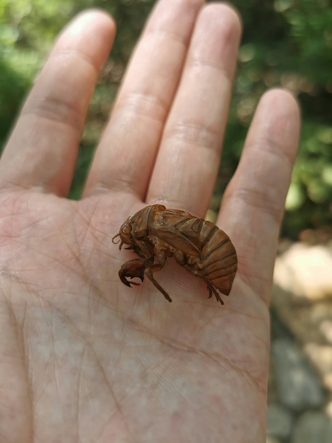 你们那叫啥？ ​​​