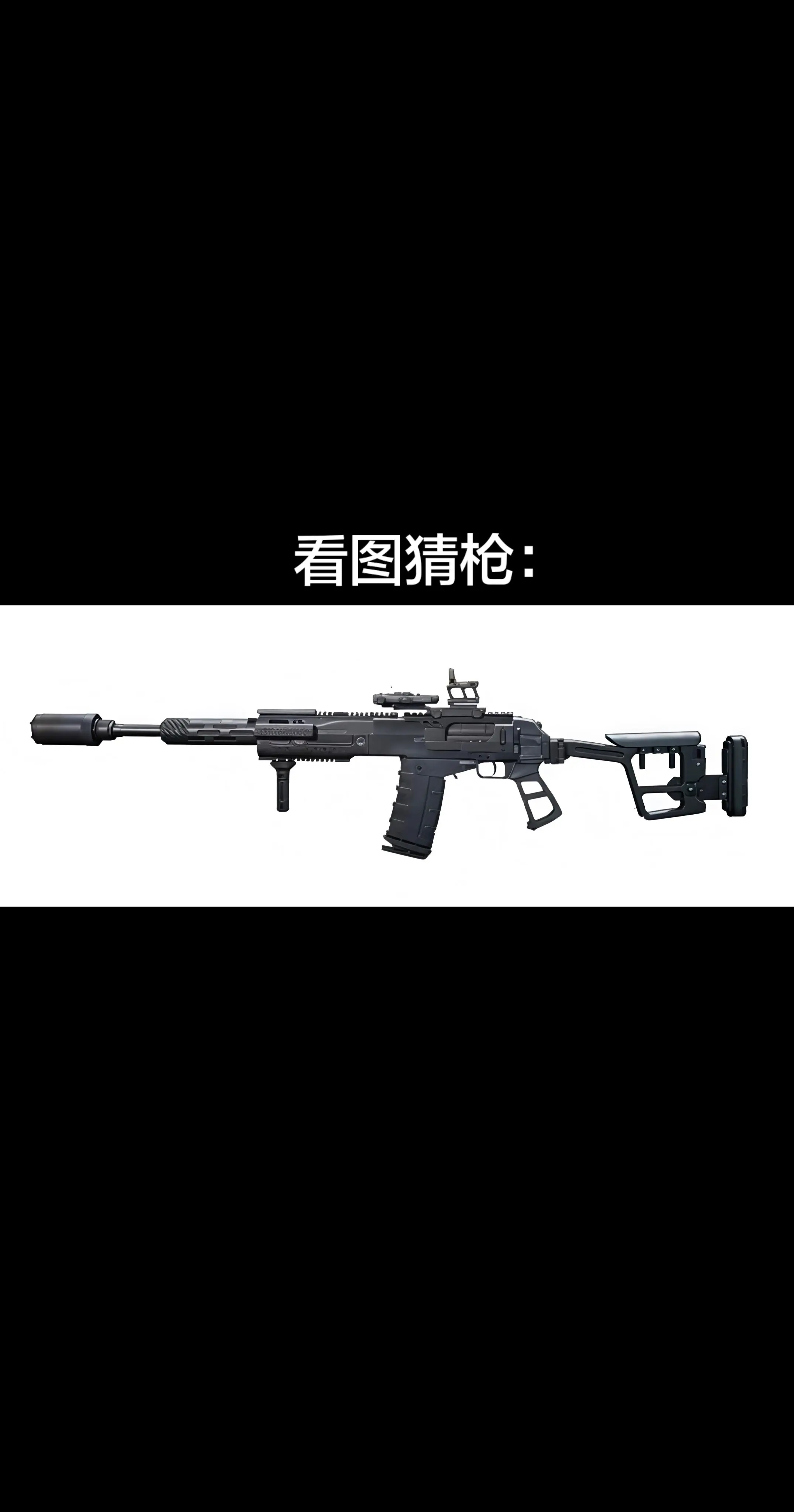 看图猜枪。