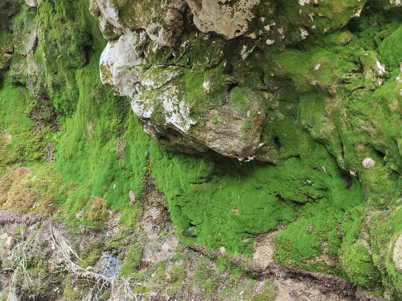 - 530分之间，处于不上不下的中间位置。看到其他分数明显低于自己的考生成功上岸