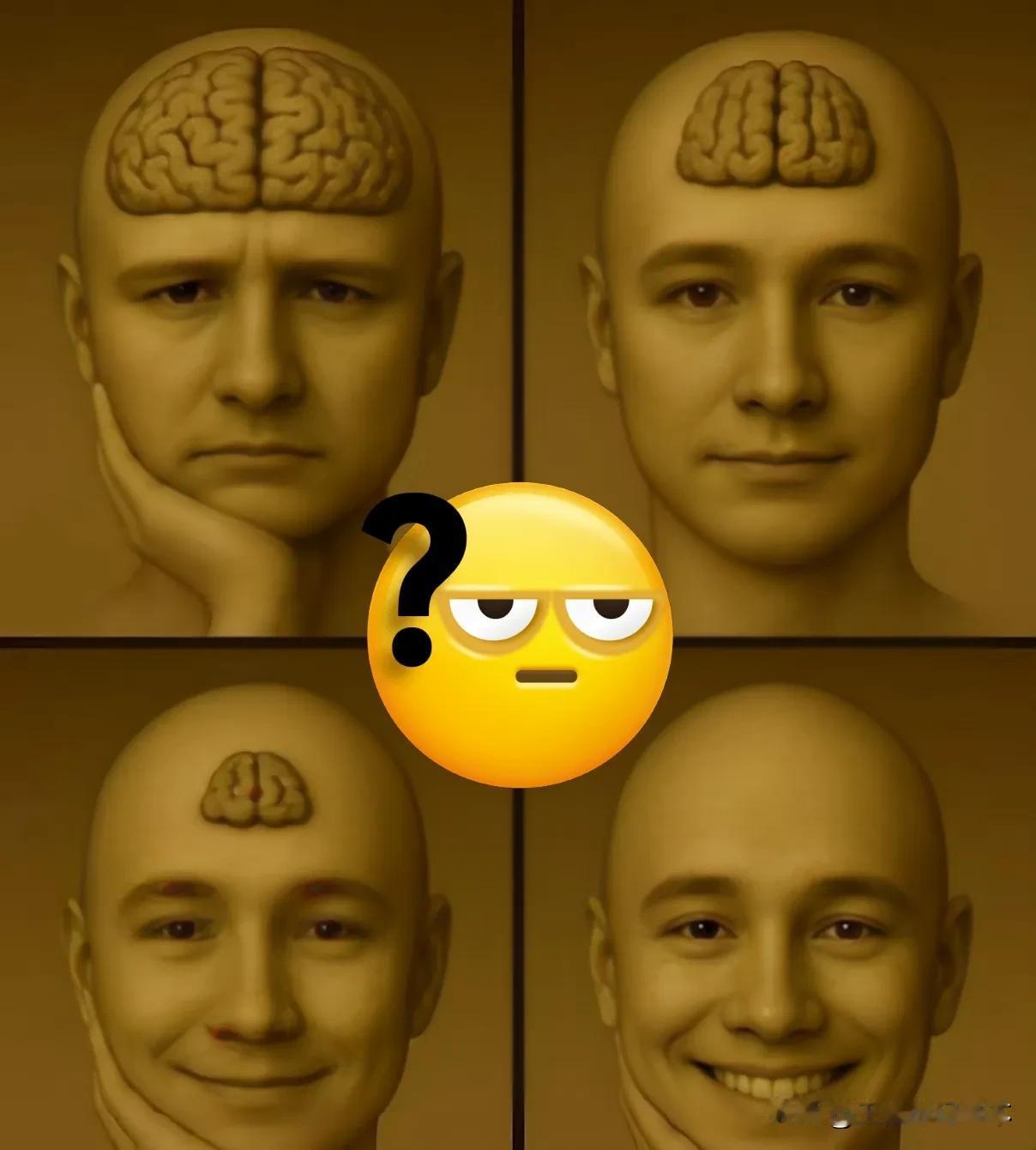 这张图告诉我们一个道理，没有脑子最开心～