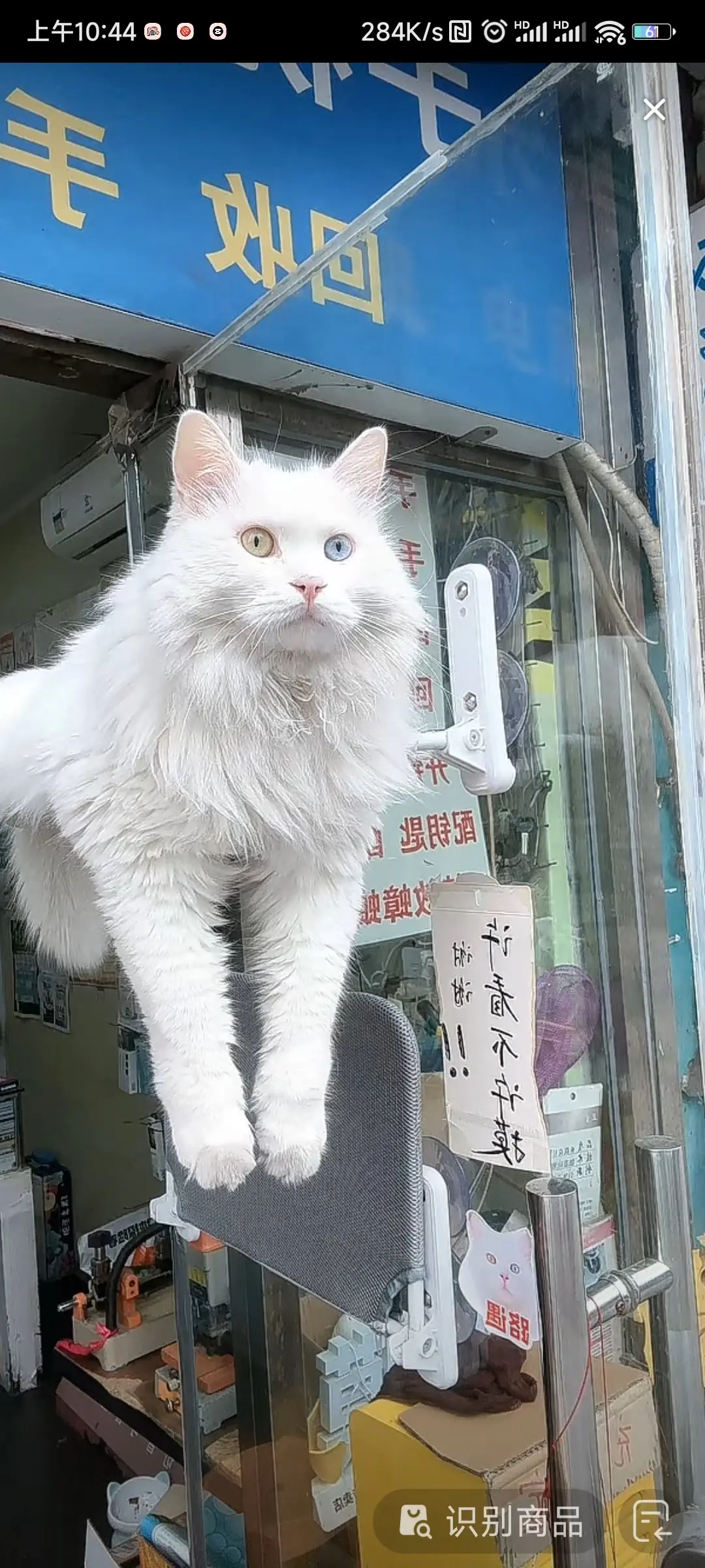 双11百大萌主