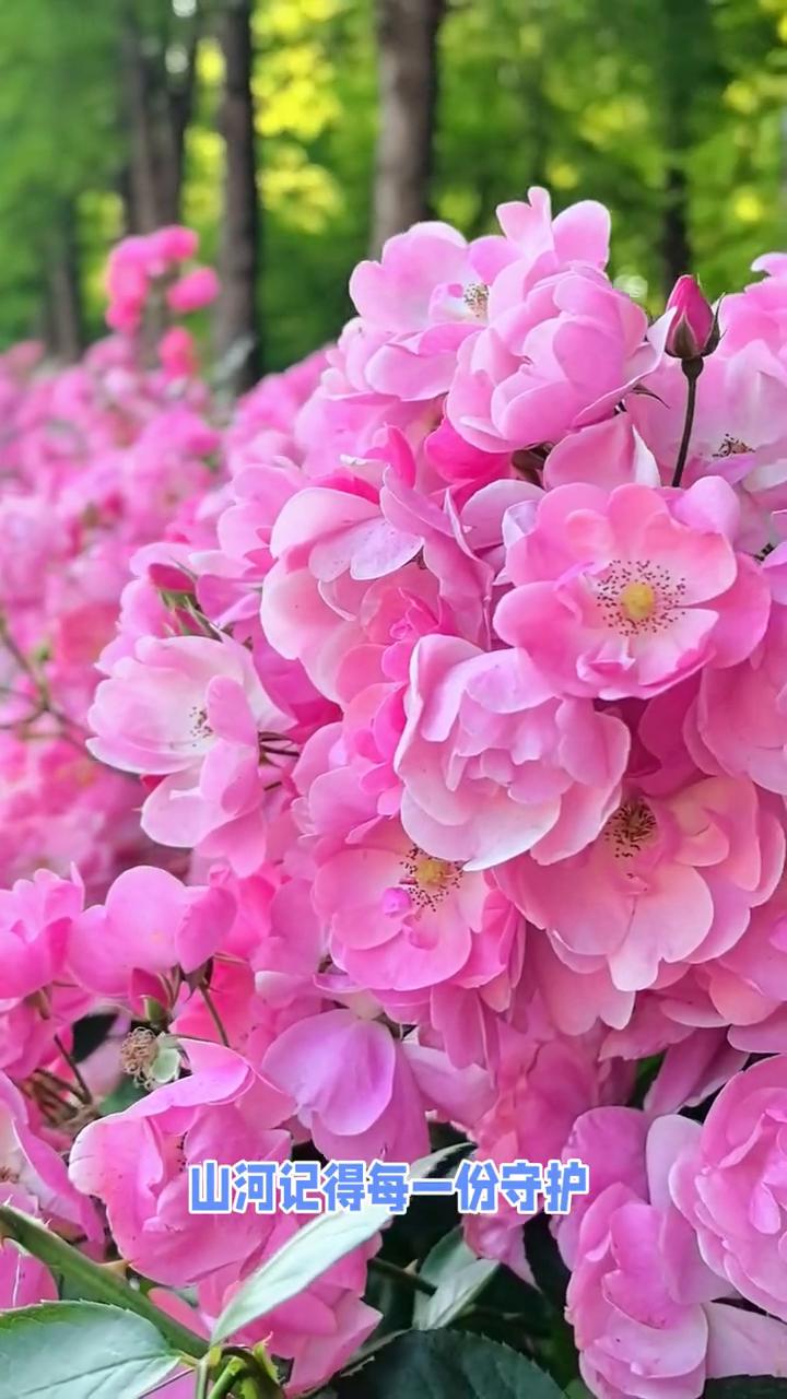 5月12日早安。
5月12日星期二，农历三月廿六。山河记得每一份守护，岁月铭记每