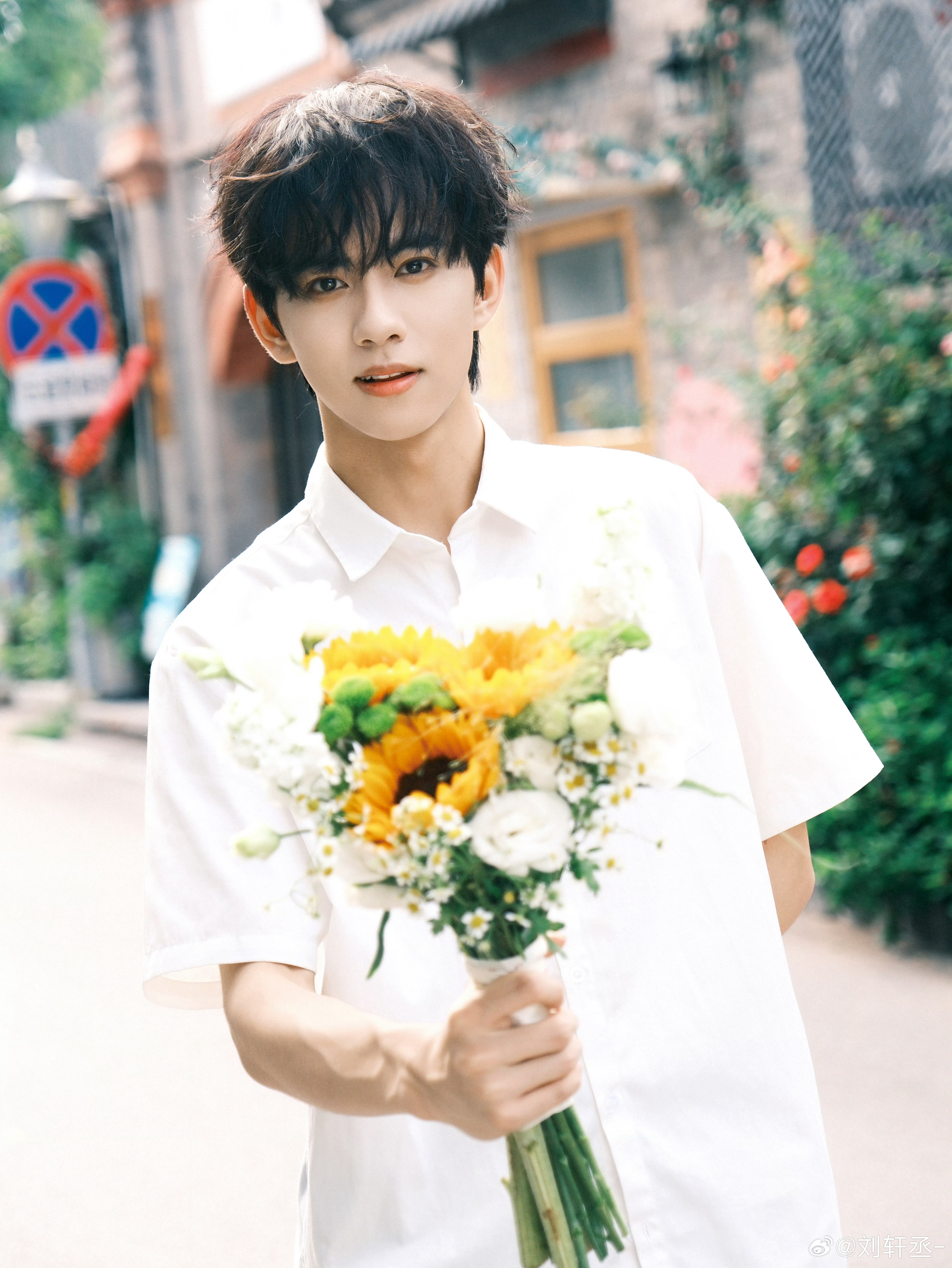 令人心动的小猫🐱🌻 