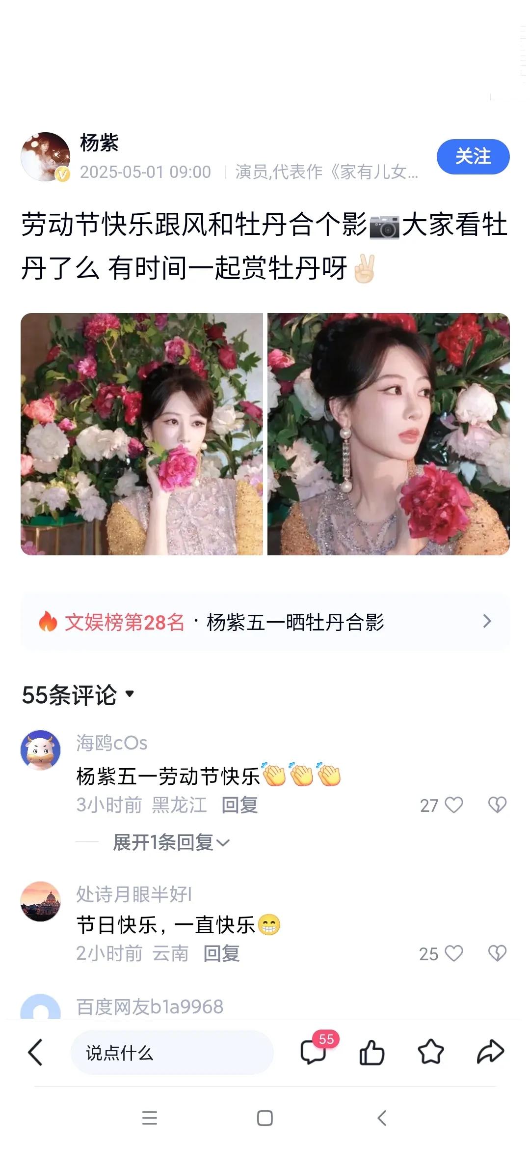 杨紫五一牡丹写真引全网热议！
2025年5月1日，国际劳动节的当天上午，小花杨紫