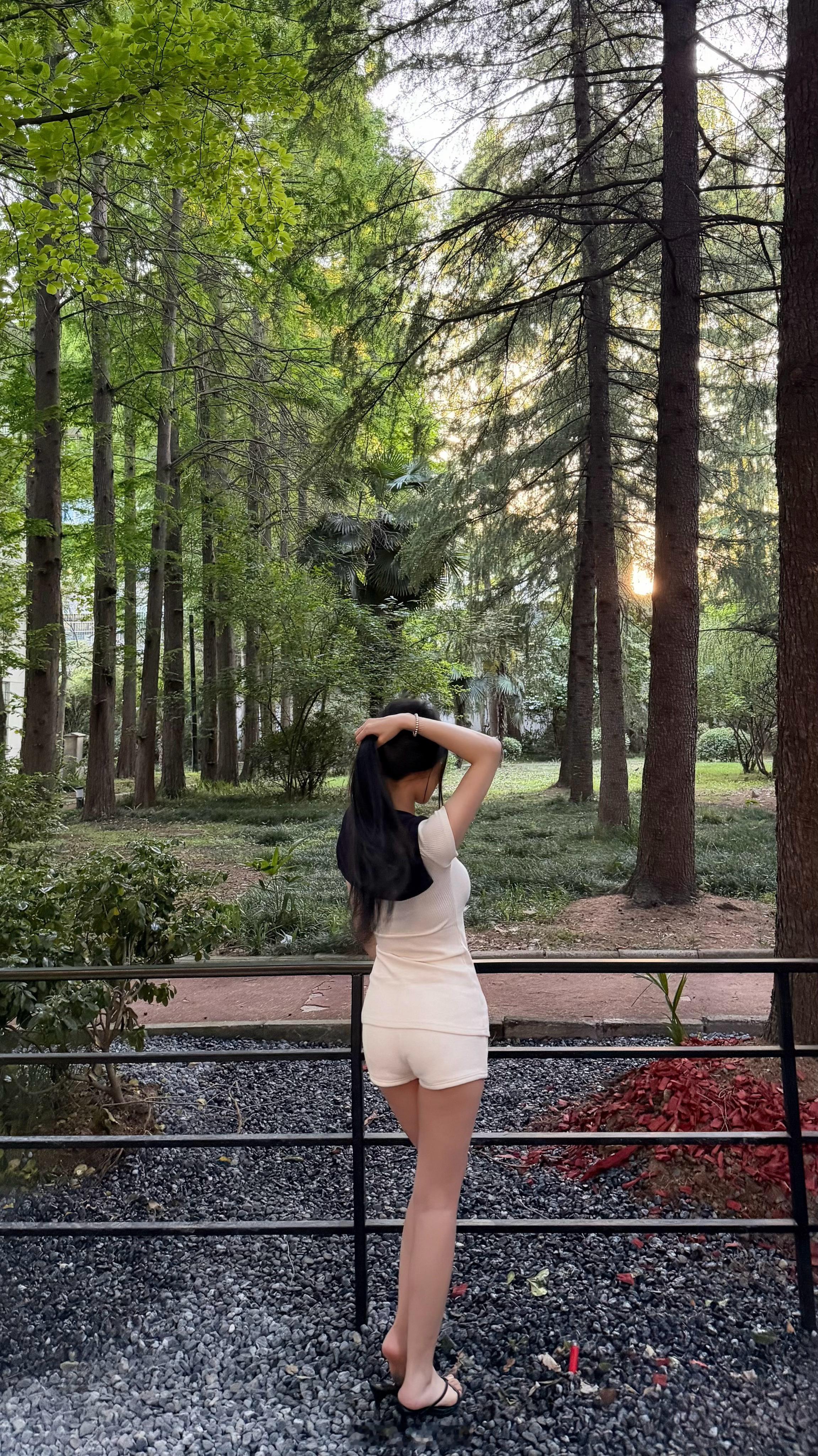 分享图片 