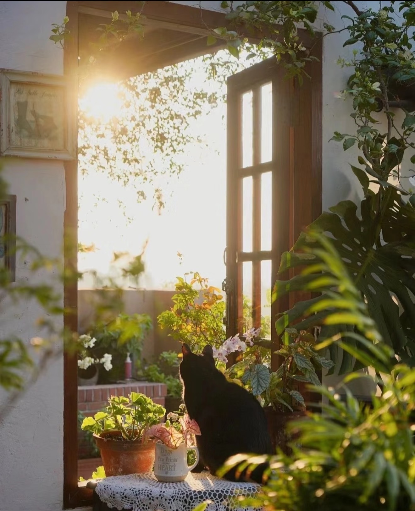 霞光万道，映照心扉愿你今天被温柔相待所有的忧愁烟消云散 