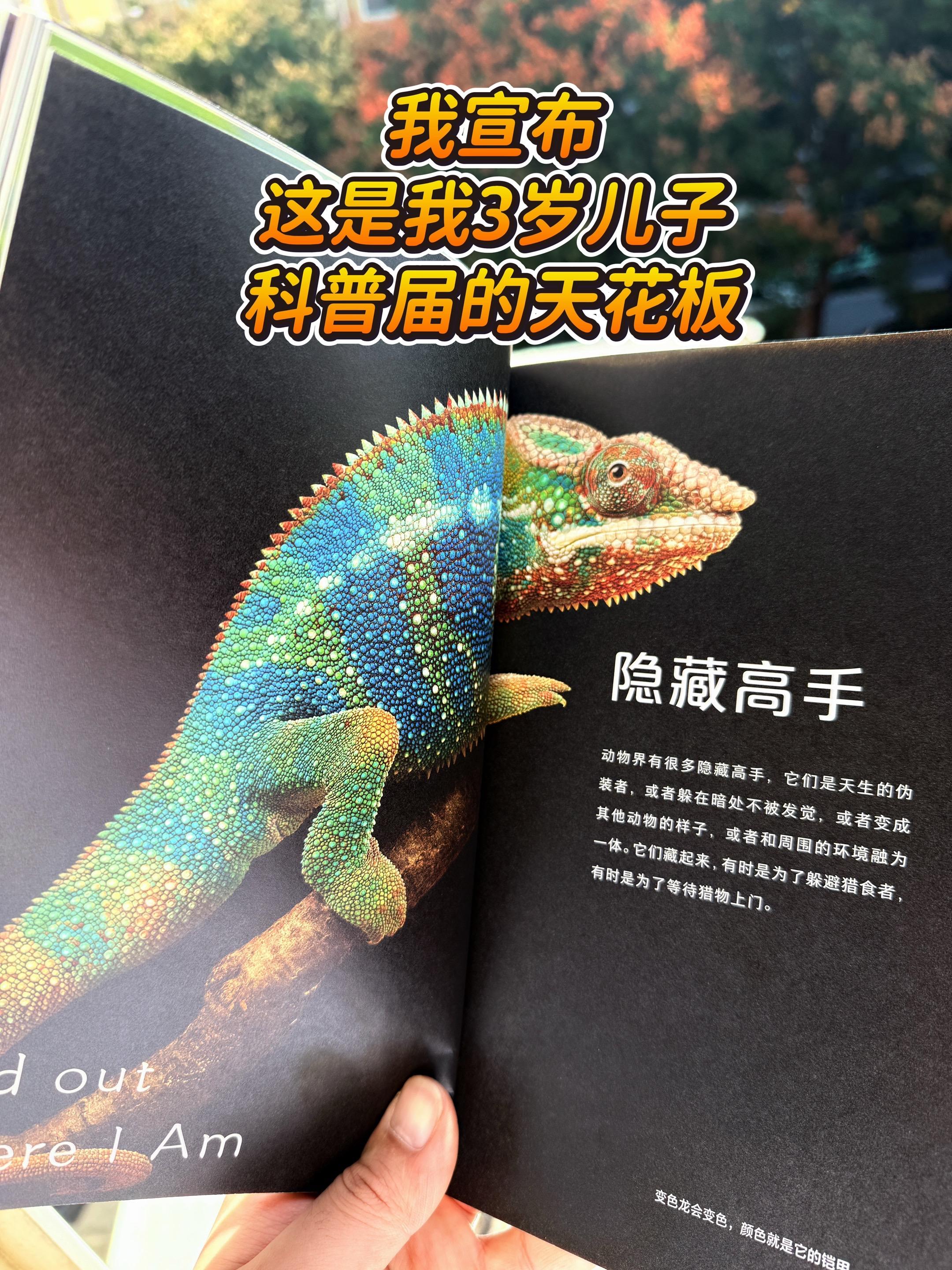 哇！这本书买回来孩子爱不释手❗。谢谢你，让我3岁儿子认识200多种动植...