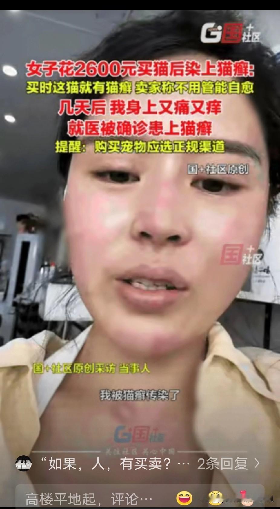 崩溃了！浙江嘉兴，女子有钱没地方花了，竟然花2600块钱买了一只猫当宠物，结果几