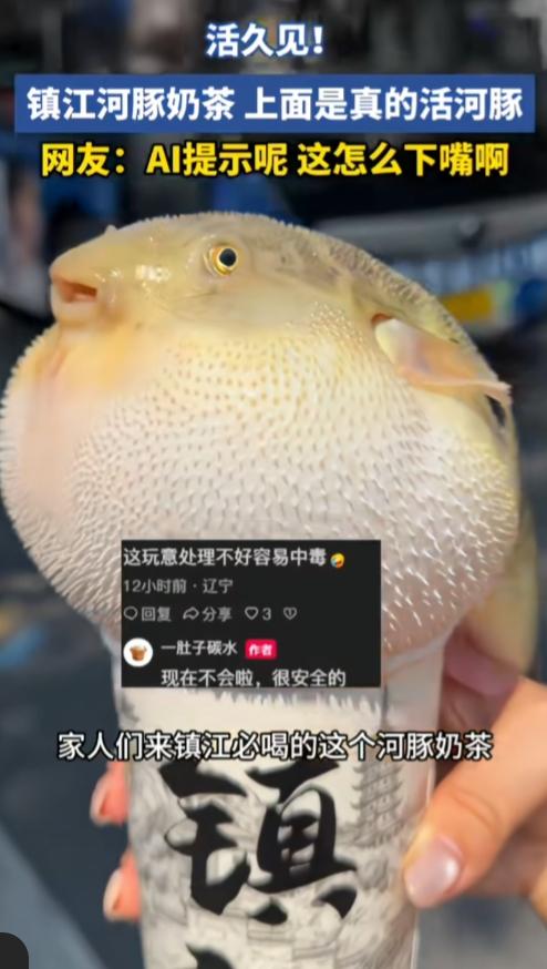 活久见了！河豚都能搭配奶茶了？
 
奶茶纸杯上放着真的活河豚，气鼓鼓鼓着腮帮子，