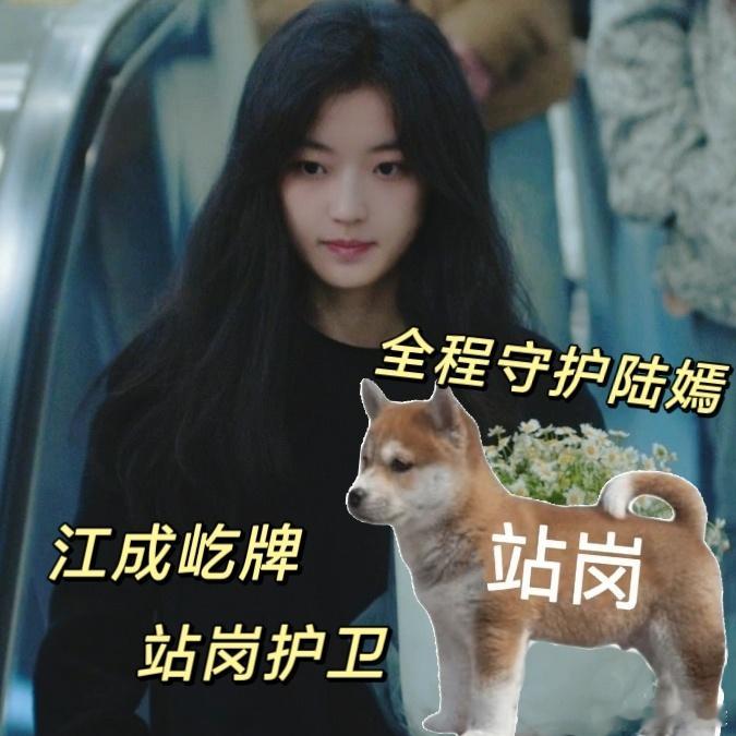 冬至男主跳入轨道救女主  江成屹是一款让人很有安全感的男主！陆嫣被害推入轨道，他