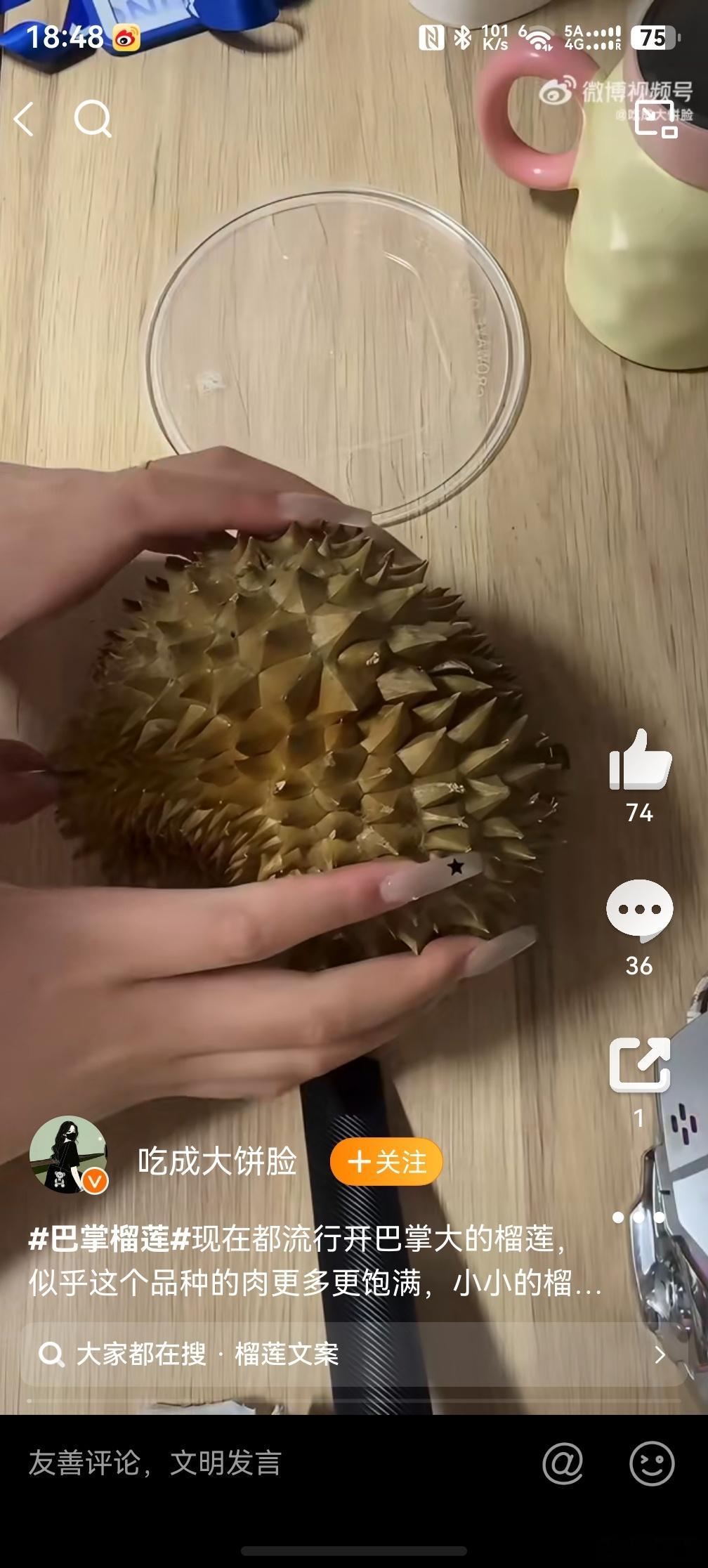 巴掌榴莲，好吧，其实想想也挺合适的，一整个可能吃不完，这个刚好过过嘴瘾，又不会过