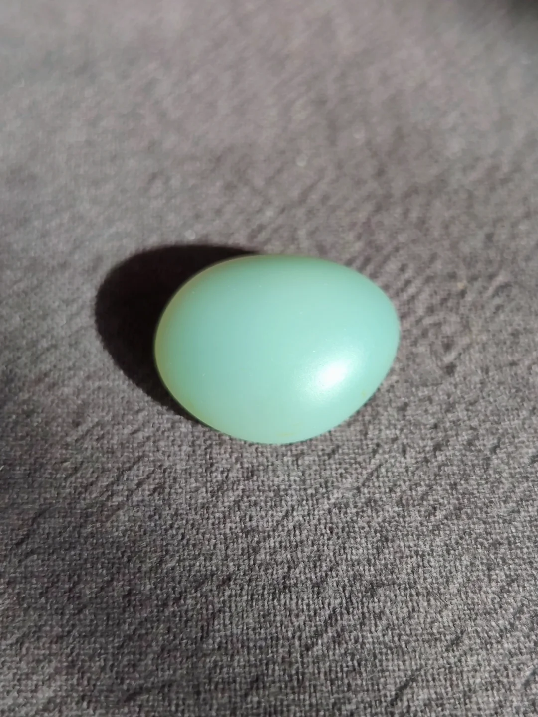蛋白珠珠可真好看啊