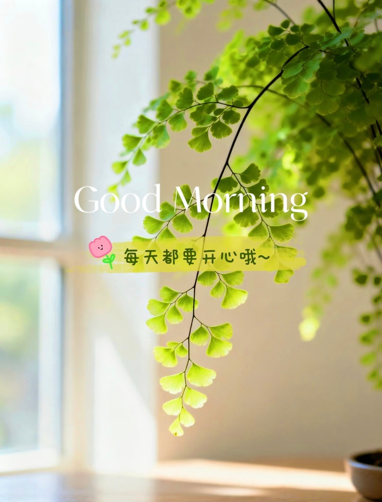 生活就是普通的晨起日落，没有那么多轰轰烈烈，守住当下的小舒服就够。把心态放软，日