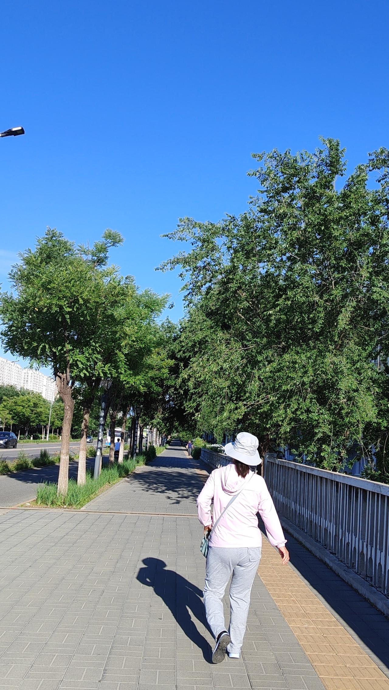 放心

老僧背妇过河去，放下执念即菩提。
寓意：执念如尘，拂去即明，心若放下，处