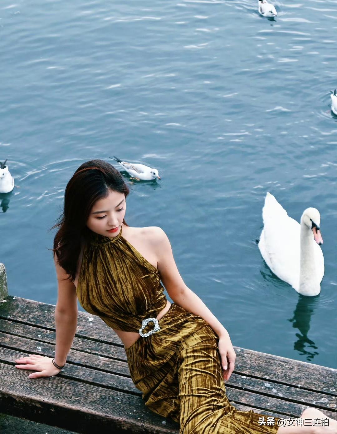 湖边小憩，天鹅相伴，优雅时光