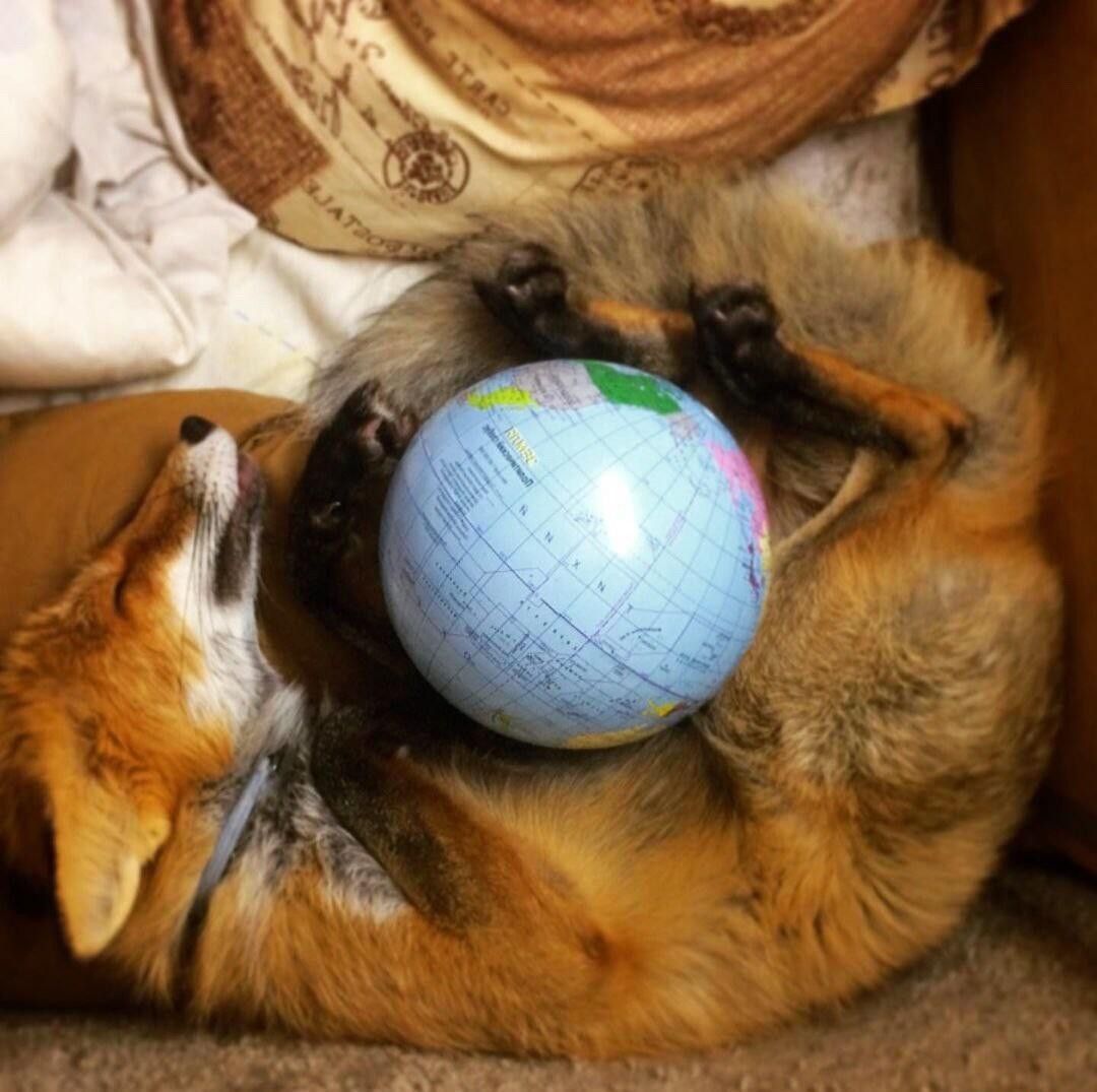 Firefox <3 