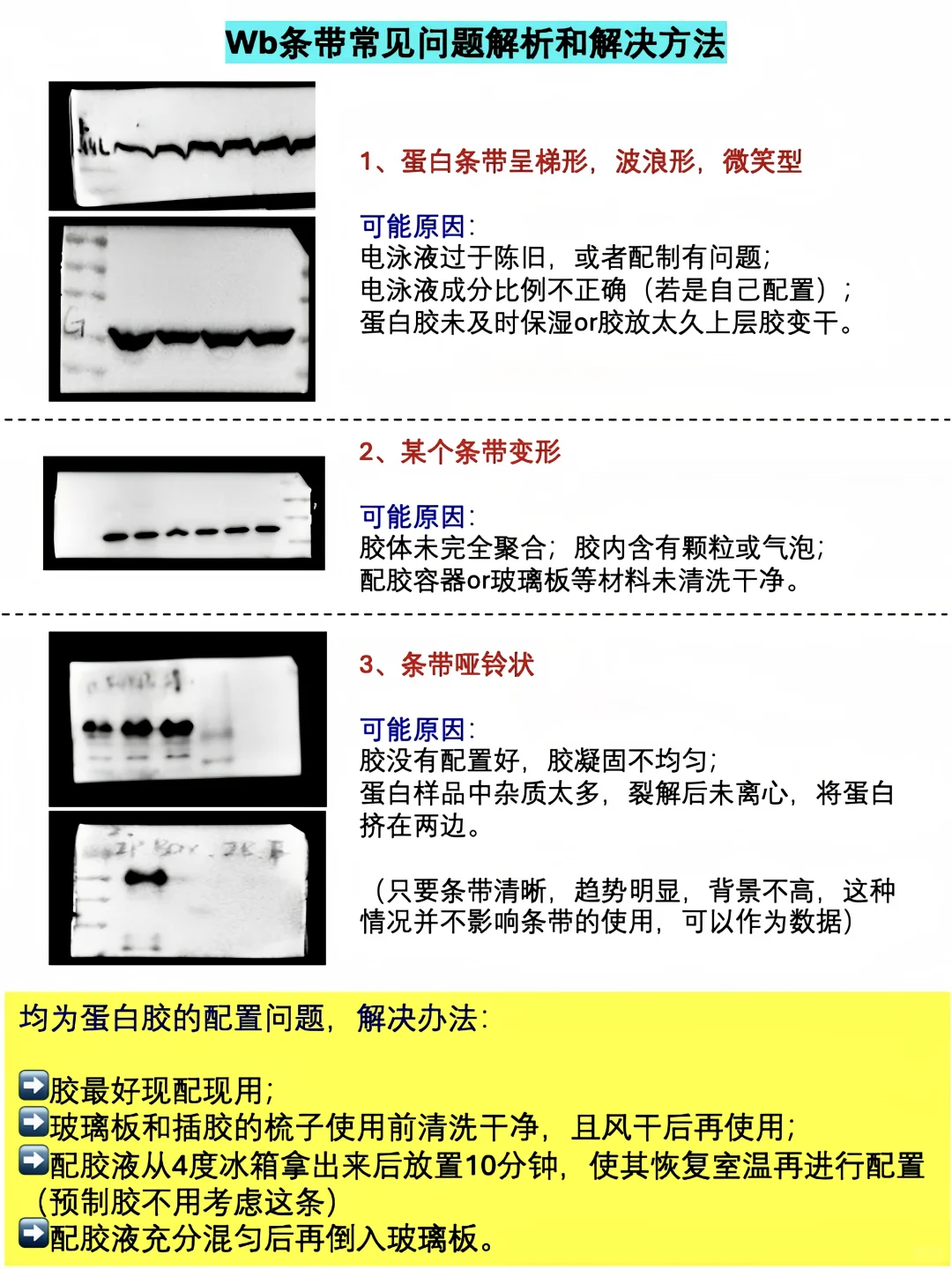 总结了18种wb条带常见问题➕解决方法，码住了