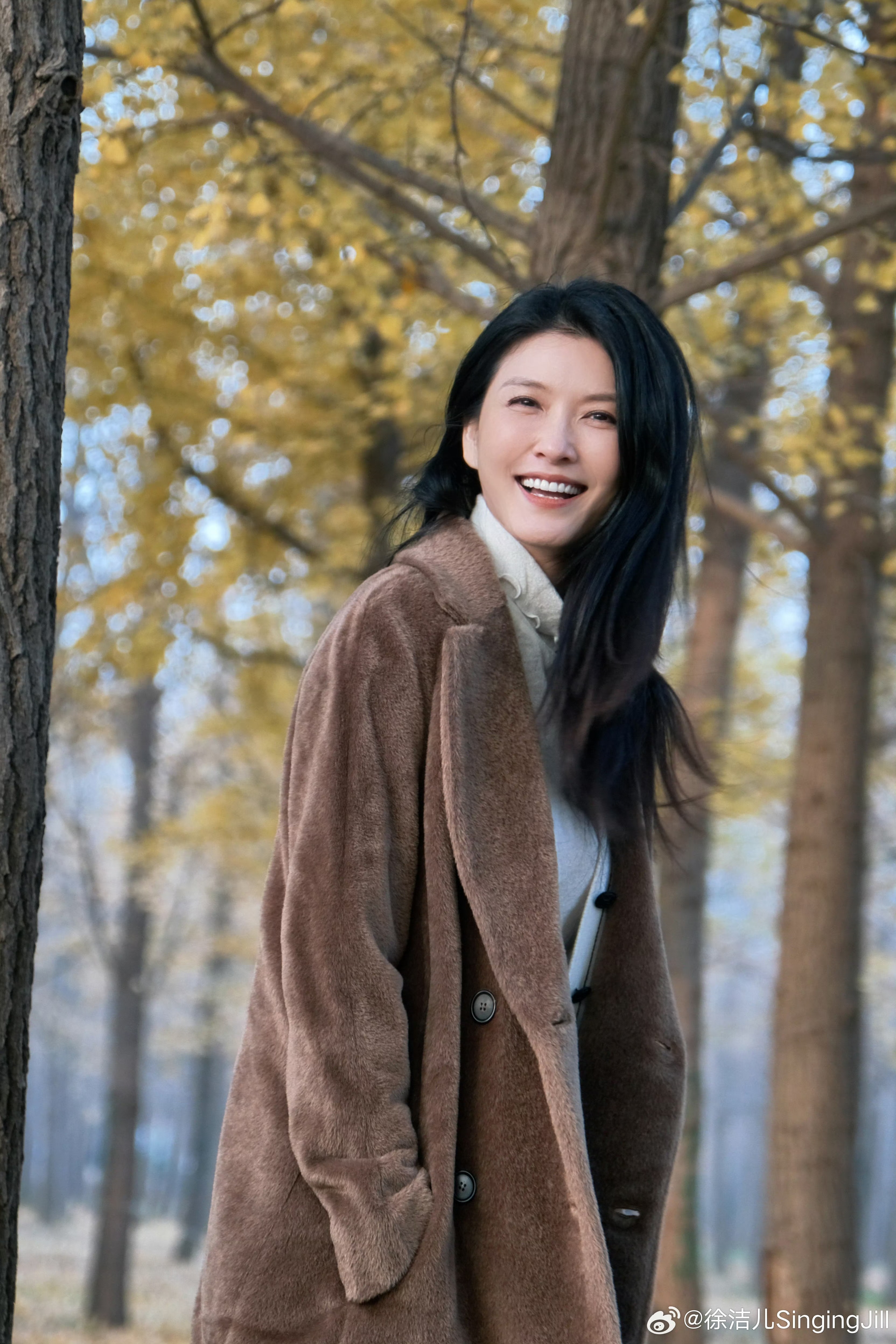 是我认识的那个徐洁儿嘛浪姐7阵容 浪姐7有徐洁儿？爷青回！《海豚湾恋人》的沈曼青