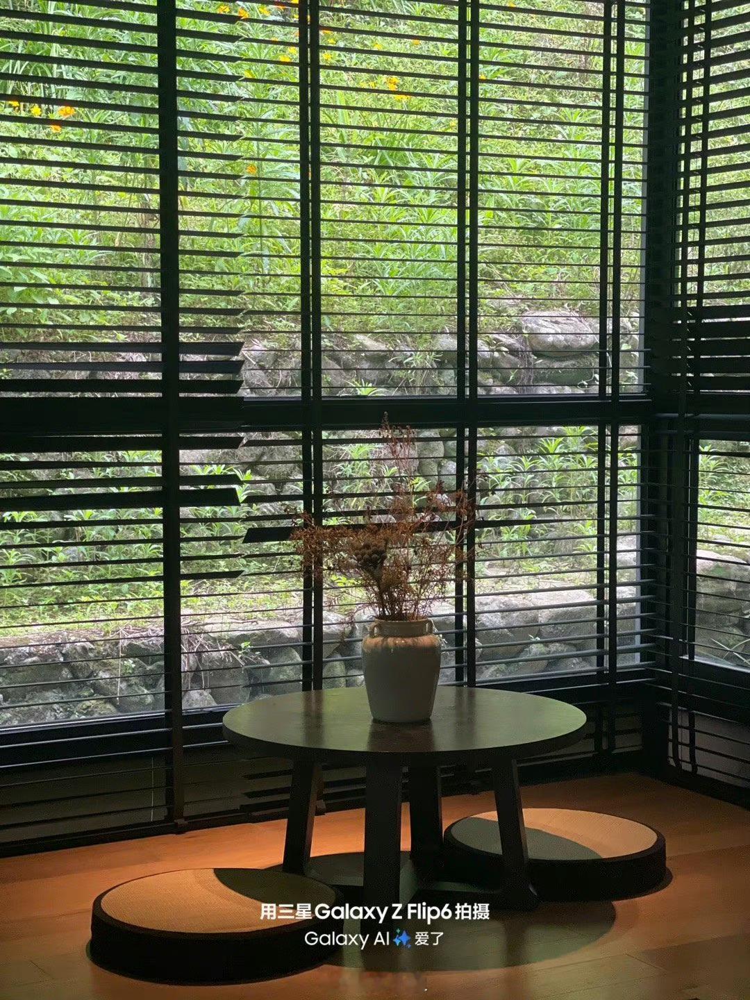 城市探索｜深圳一日citywalk隔一段时间就喜欢在自己的城市里Citywalk