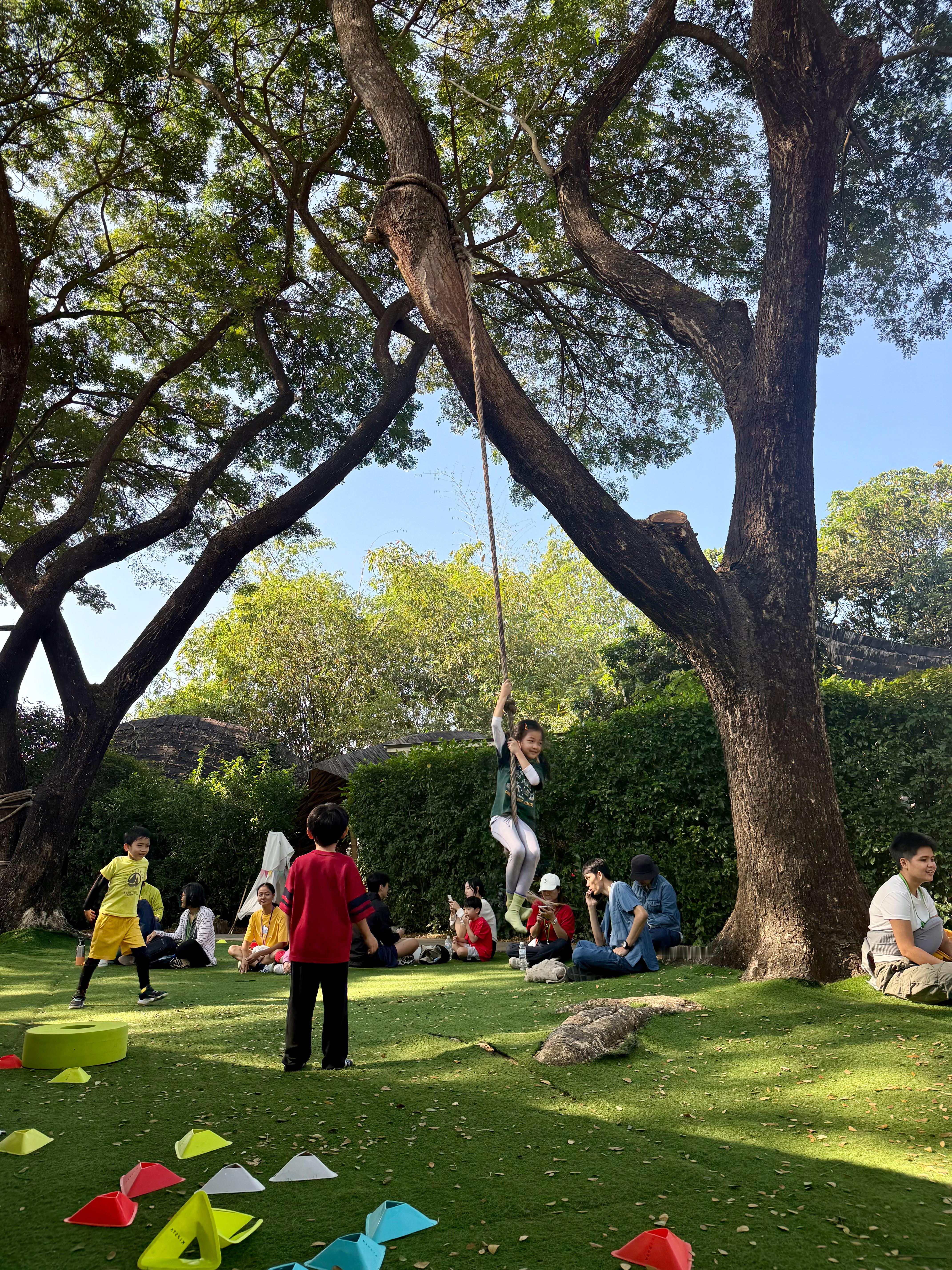 来竹子学校快四年了，每次走进校园还是会被治愈。下学期见啦～ 