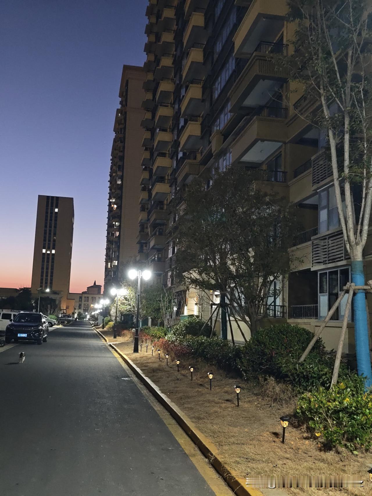 今天是金碧物业走后的第67天。

卫生值日表似乎被定格了，不再增加新的值日生。也