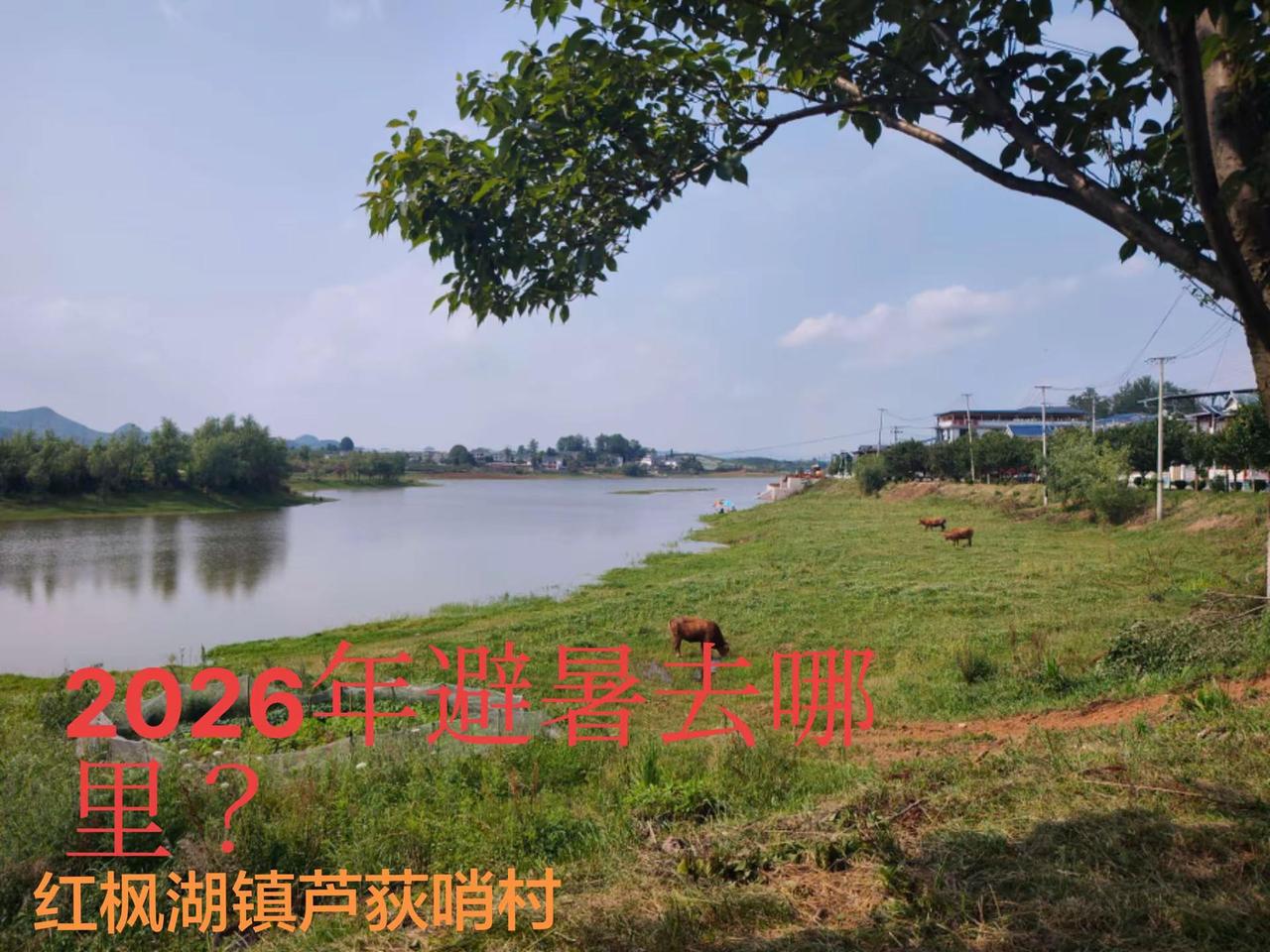 贵州避暑选择小村庄需注意哪几点？买菜不能每天买一次，因为每周只赶一次集市，水果不