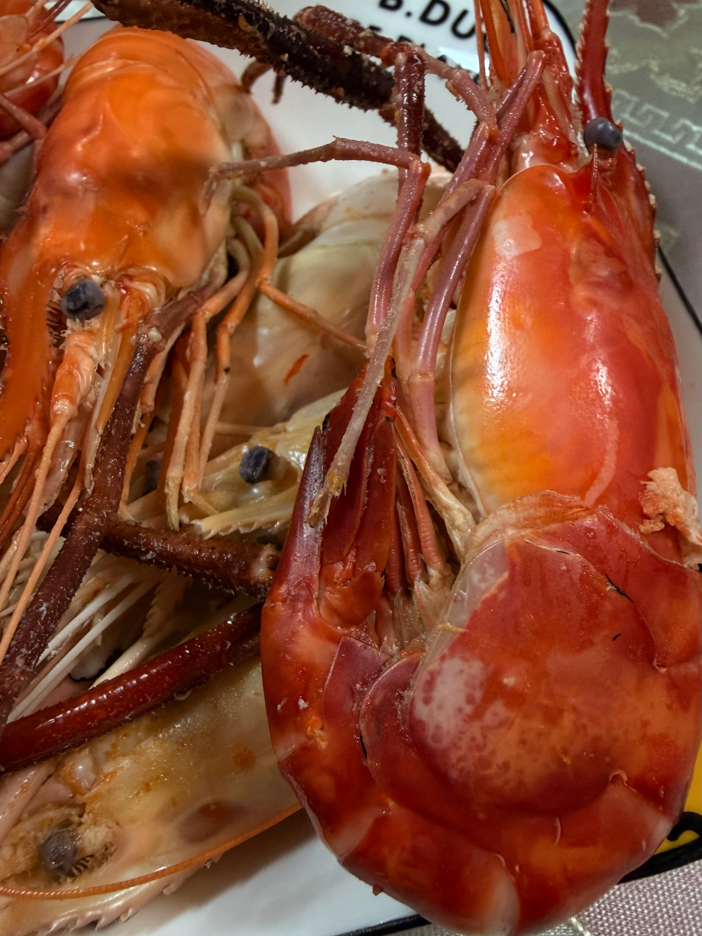 吃🦐我这不就来劲了吗