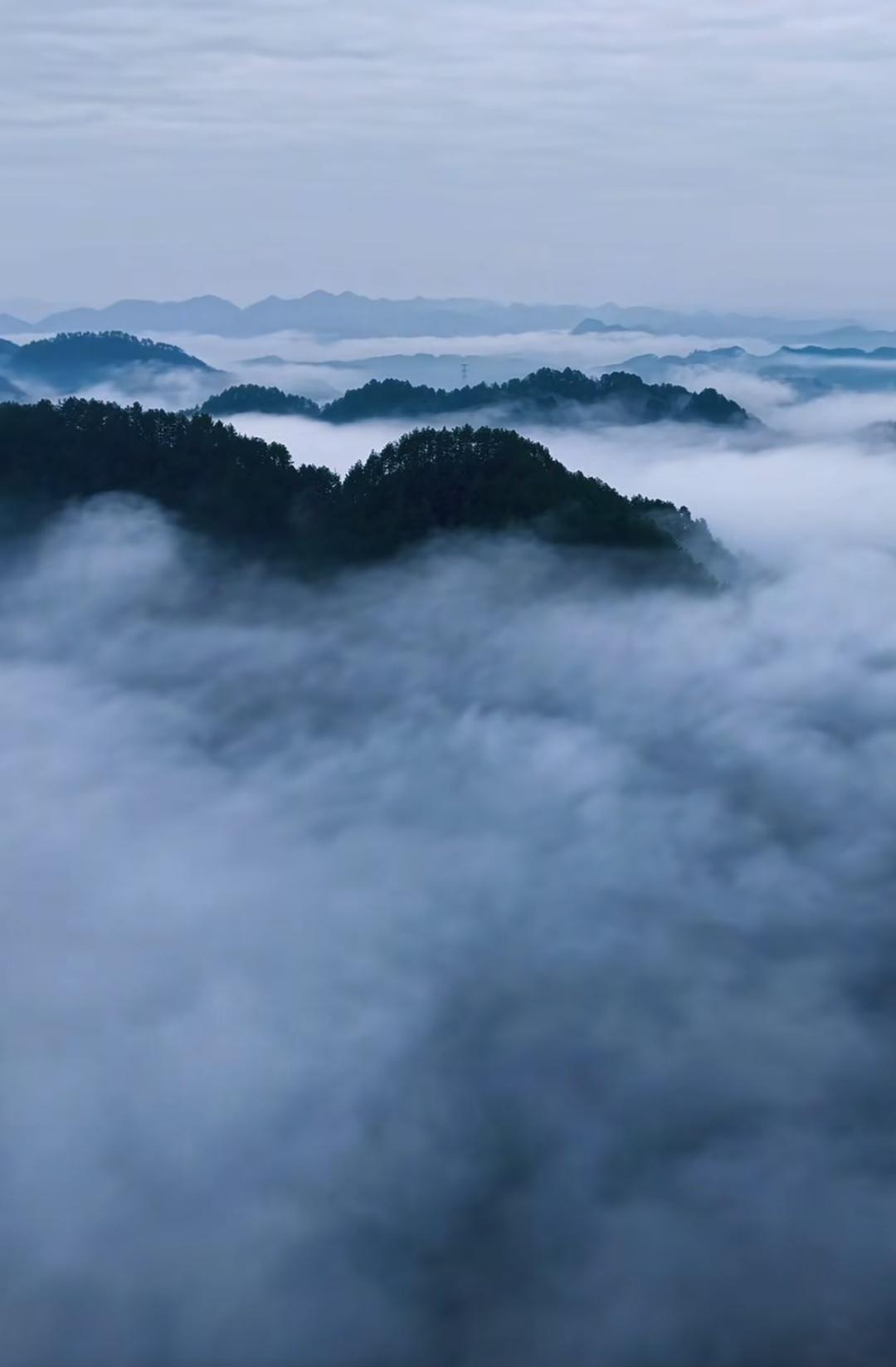 我把他们当成野猪！

今天跟你们聊个我爬山爬出来的大乌龙，现在想起来都想笑，尴尬