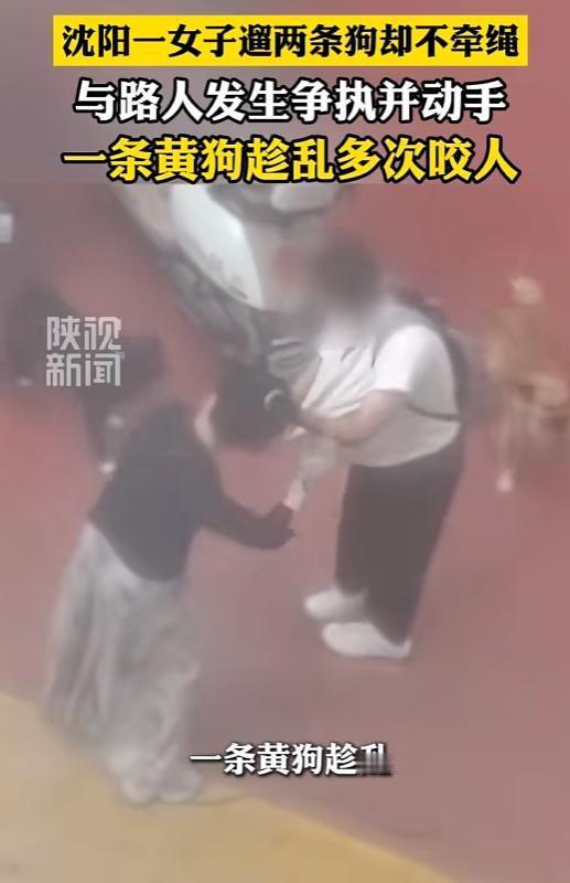 “太恶劣了！”辽宁沈阳，女子在小区遛两条狗不牵绳，一名过路的女子好心提醒她，不料