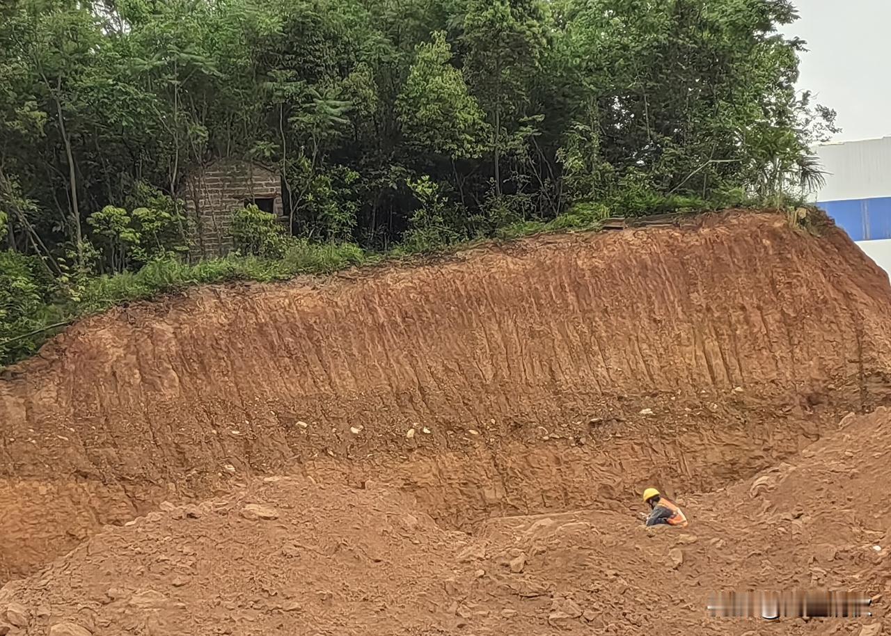 真不知道这个地方
有什么好蹬的！