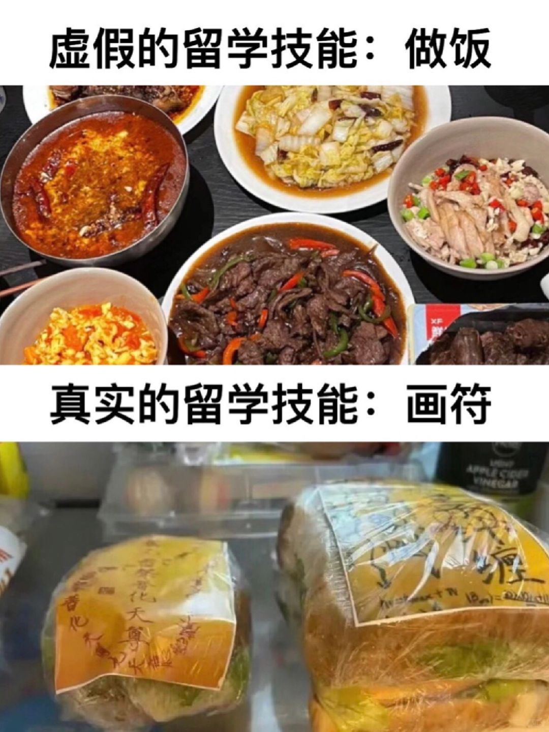 道友们，我悟了！