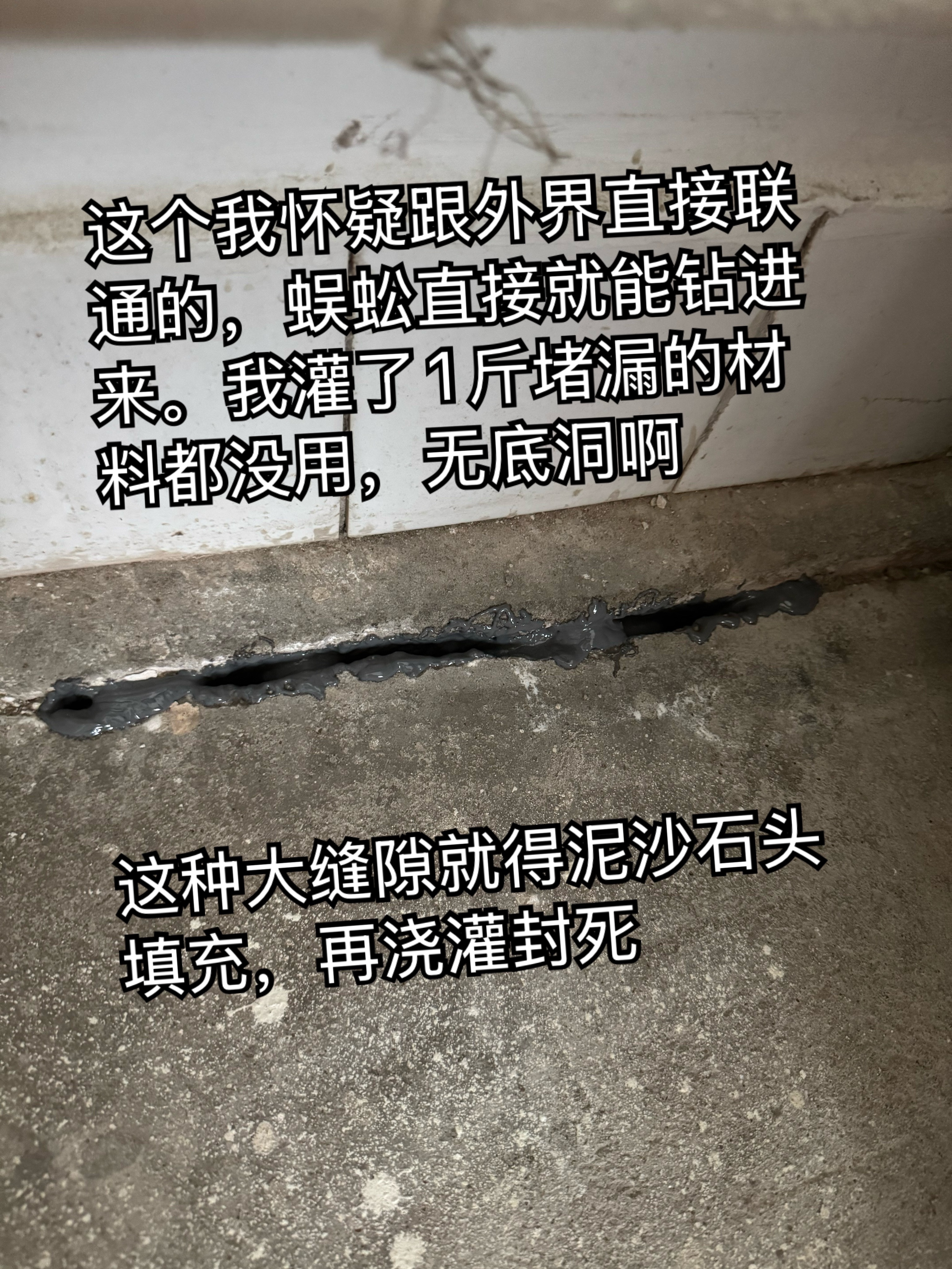 我真的猪啊[苦涩]搬家断舍离，把水泥沙子全给扔了……带回一堆不值钱的园艺破玩意儿