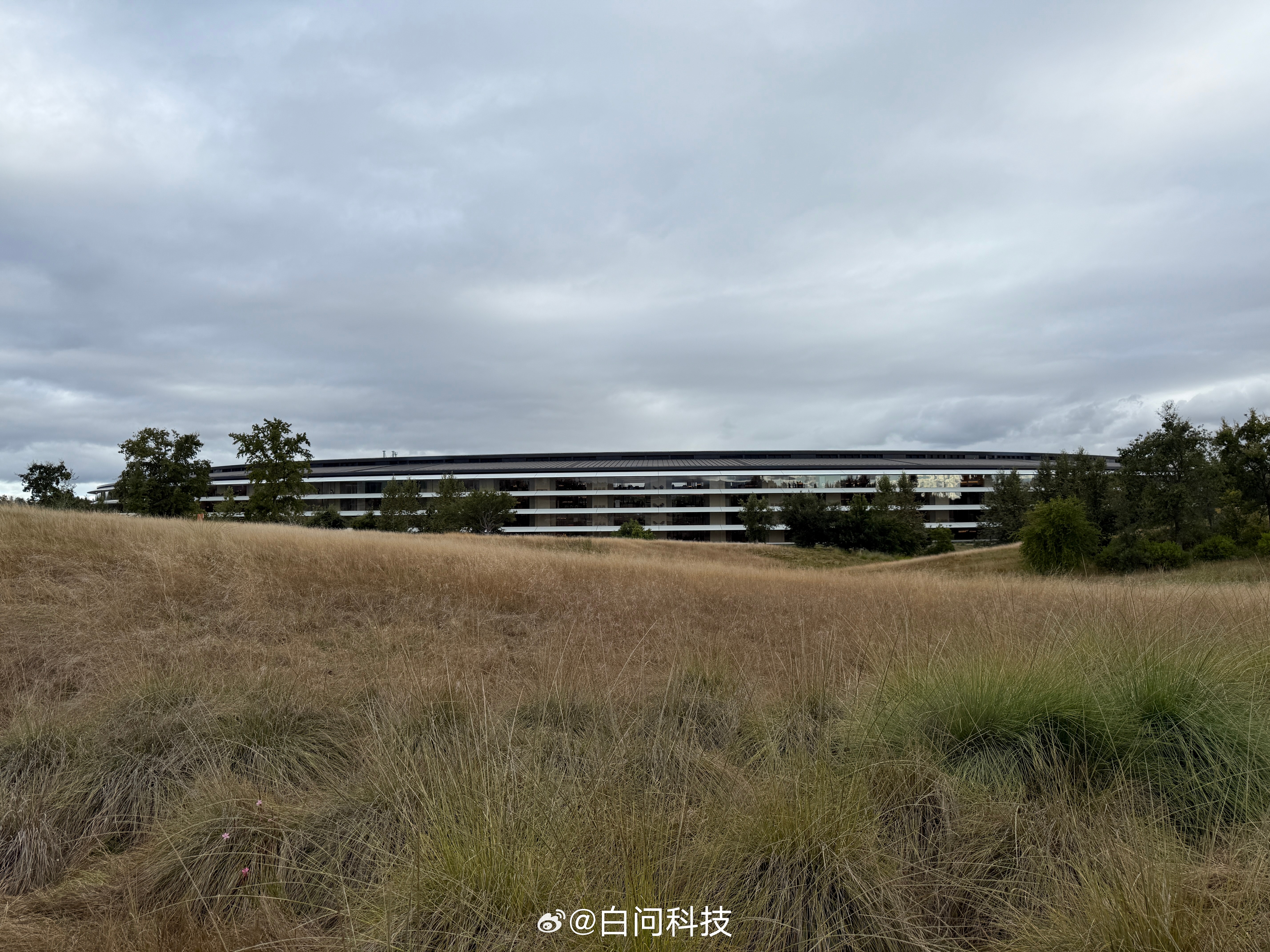 苹果发布会 来一波玩具龙的现场图～大家是准备熬夜看发布会还是直接睡醒了看视频？ 