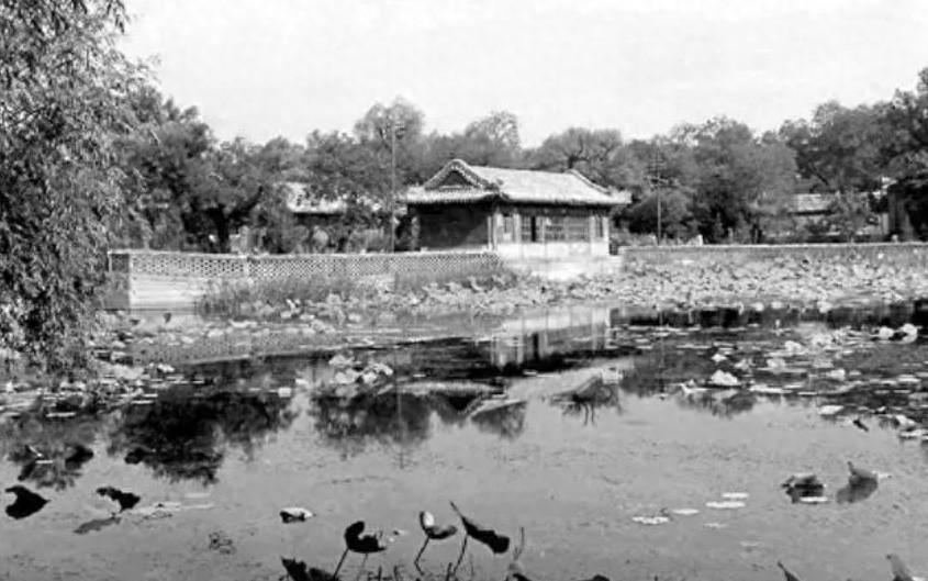 1956年，毛主席家中来了个调皮孩子，竟把金鱼从鱼缸里捞出险遭不测，这是谁呢？