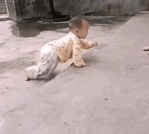 图1：人类幼崽，真是狗都嫌弃的年纪。
图2：你就说人家技术怎么样吧，说其他的有什