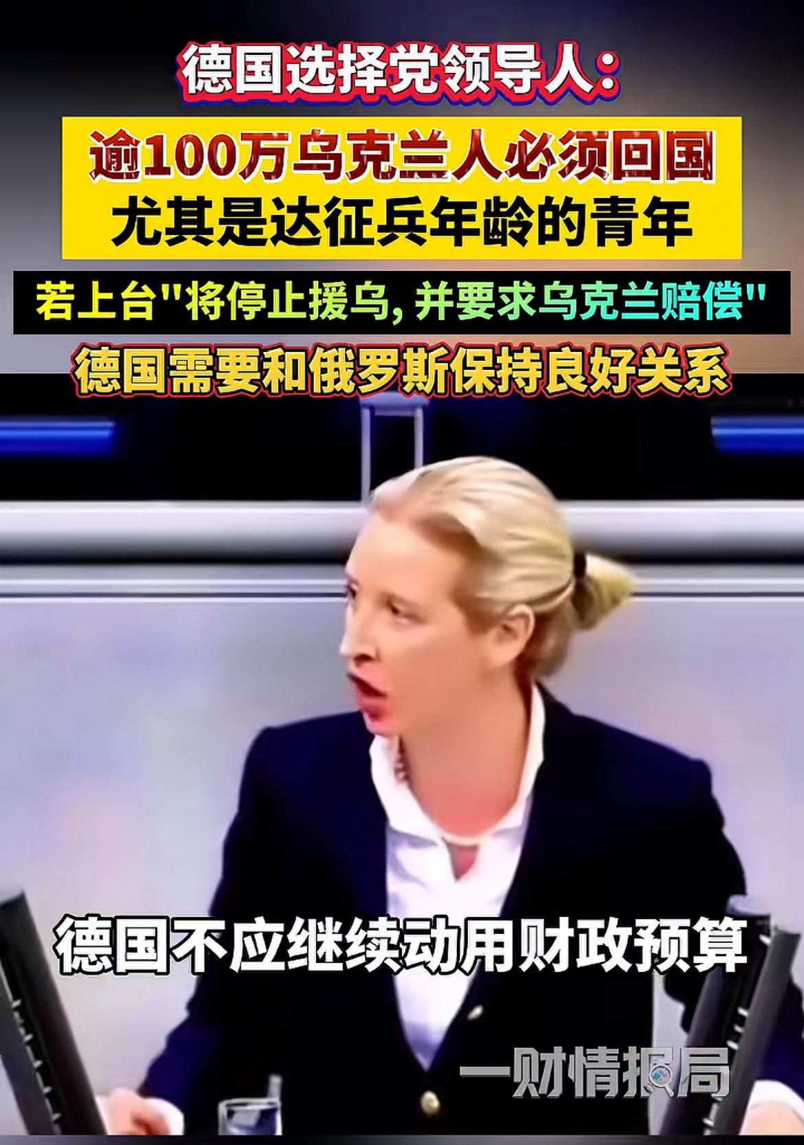 德国又一强人，态度强硬，政策大反转，如果让台，让乌克兰赔钱，停止援乌，让上百万乌